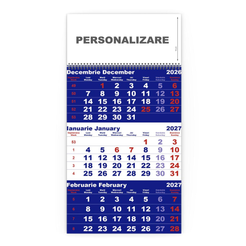 Calendare triptice - Calendar de perete TRIPTIC CLASIC 1 Albastru, CD