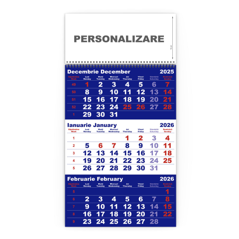 Calendare triptice - Calendar de perete TRIPTIC CLASIC 1 Albastru, CD