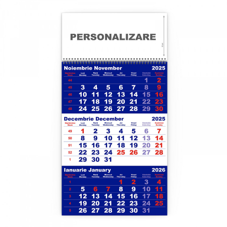 Calendare triptice - Calendar de perete TRIPTIC CLASIC 1 Albastru, CD