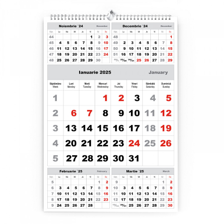 Calendare triptice - Calendar de perete TRIPTIC CLASIC 3 Argintiu,CD