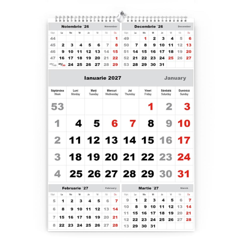 Calendar de perete TRIPTIC CLASIC 3 Argintiu,CD [1]