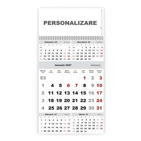 Calendare triptice - Calendar de perete TRIPTIC CLASIC 3 Argintiu,CD