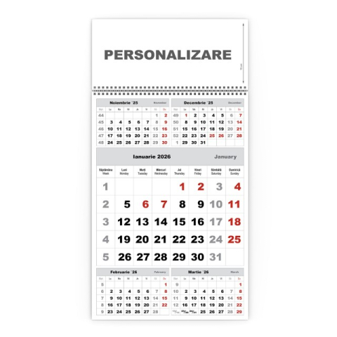 Calendare triptice - Calendar de perete TRIPTIC CLASIC 3 Argintiu,CD
