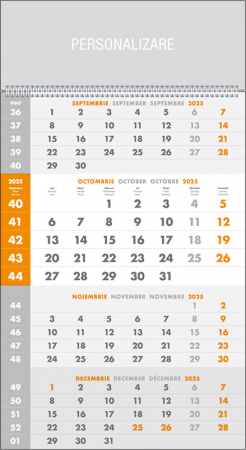 Calendare triptice - Calendar de perete Triptic Special, CA
