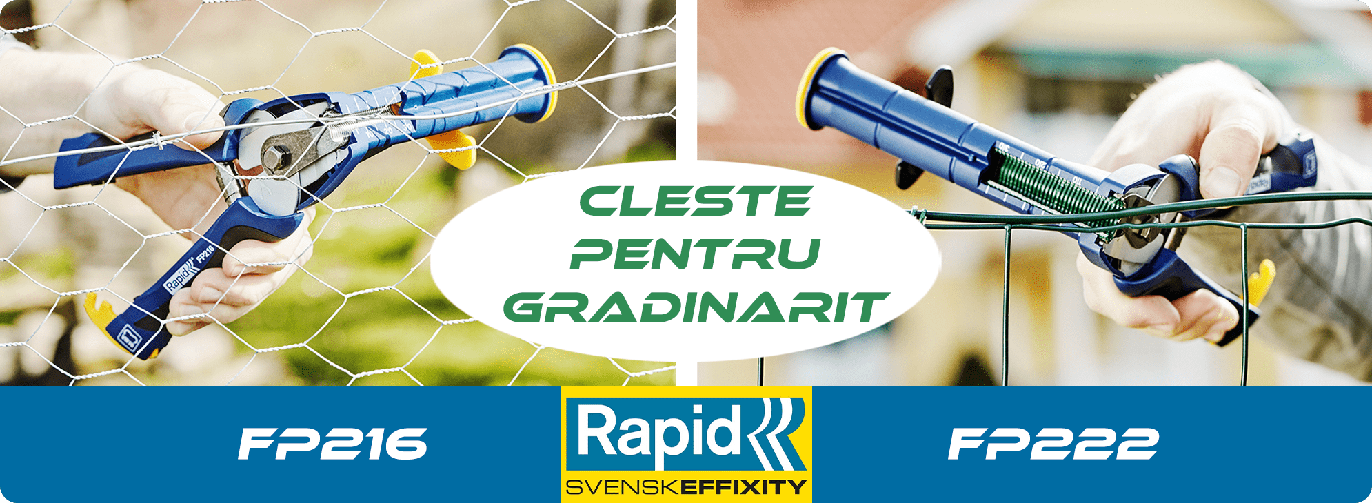 Rapid Fp