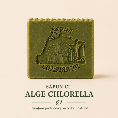 sapunuri naturale solide - alge 3