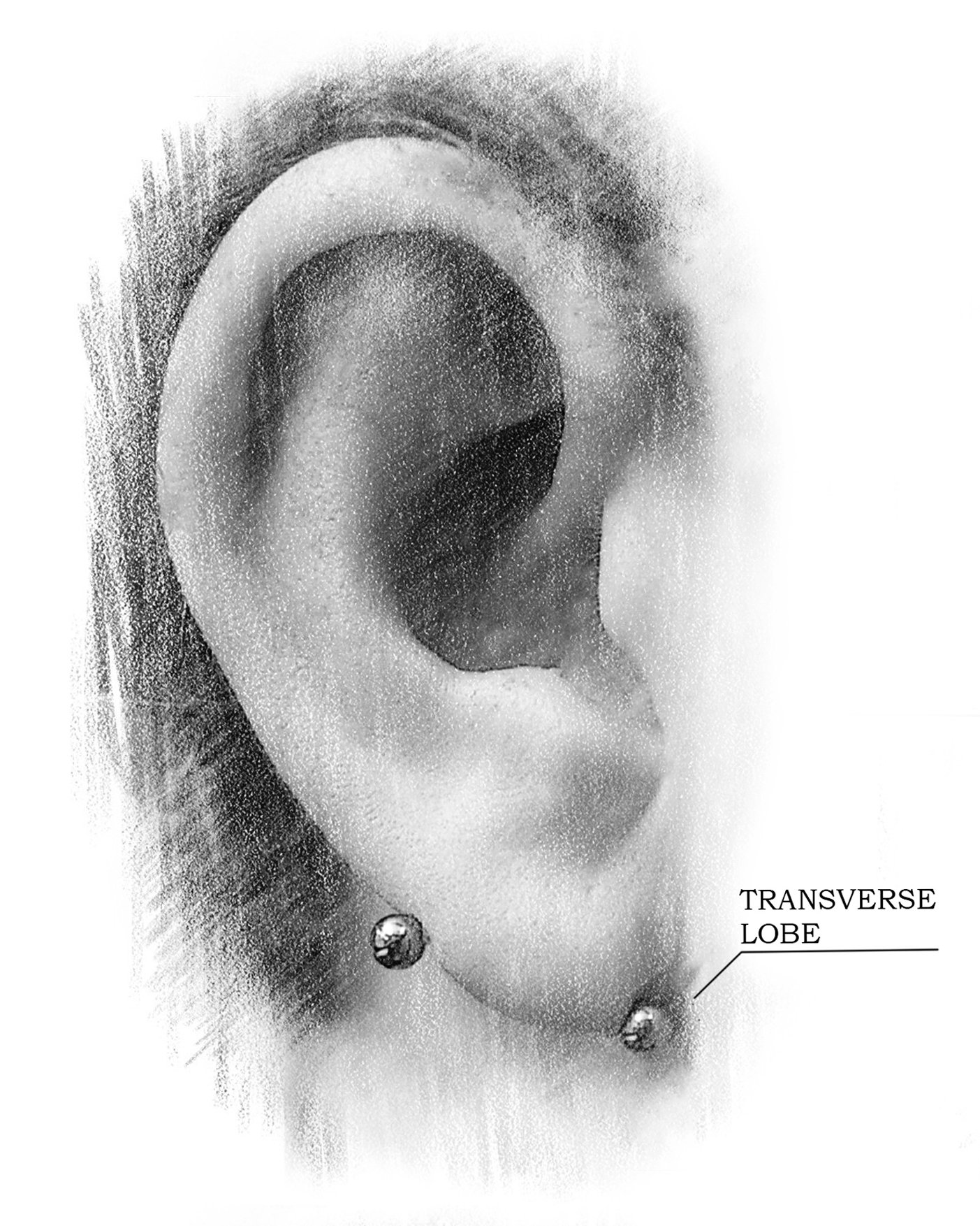 piercing transversal in lobul urechii