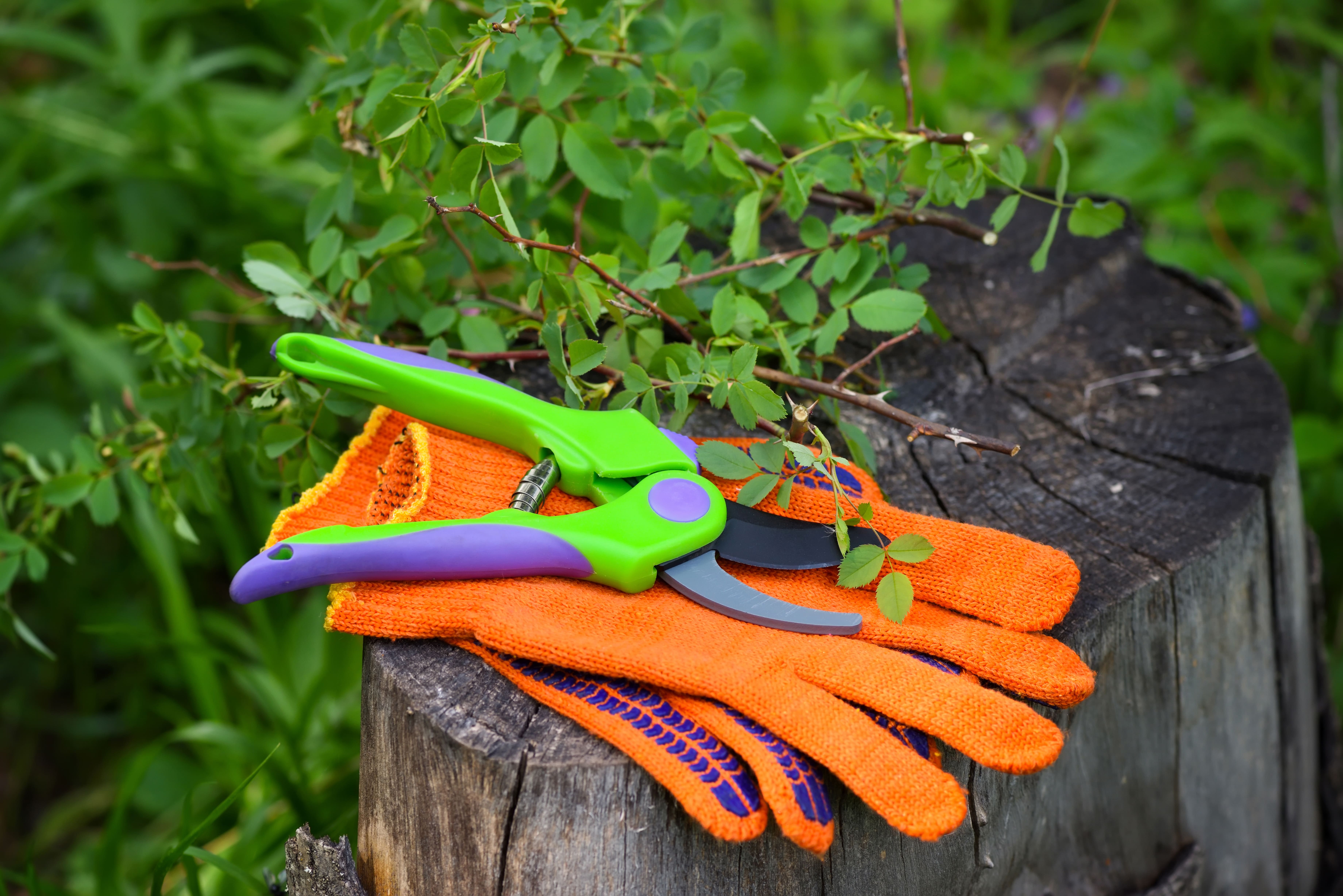 Utilaje de grădină care îți economisesc timp și efort în gospodarie