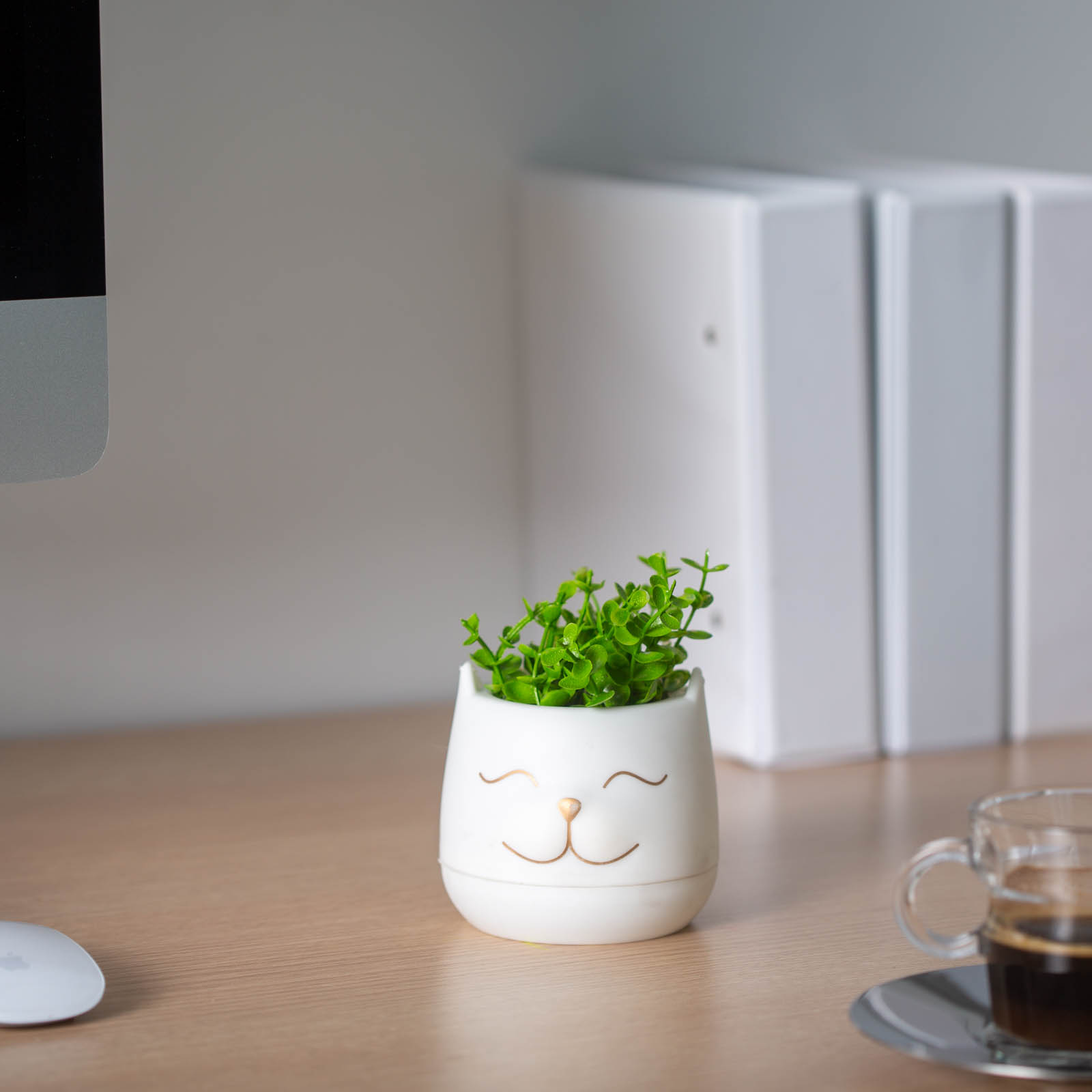 Amenajare si Decor Gradina - Planta artificiala decorativa in ghiveci cap pisica 14 cm, 3 modele, decor casa birou