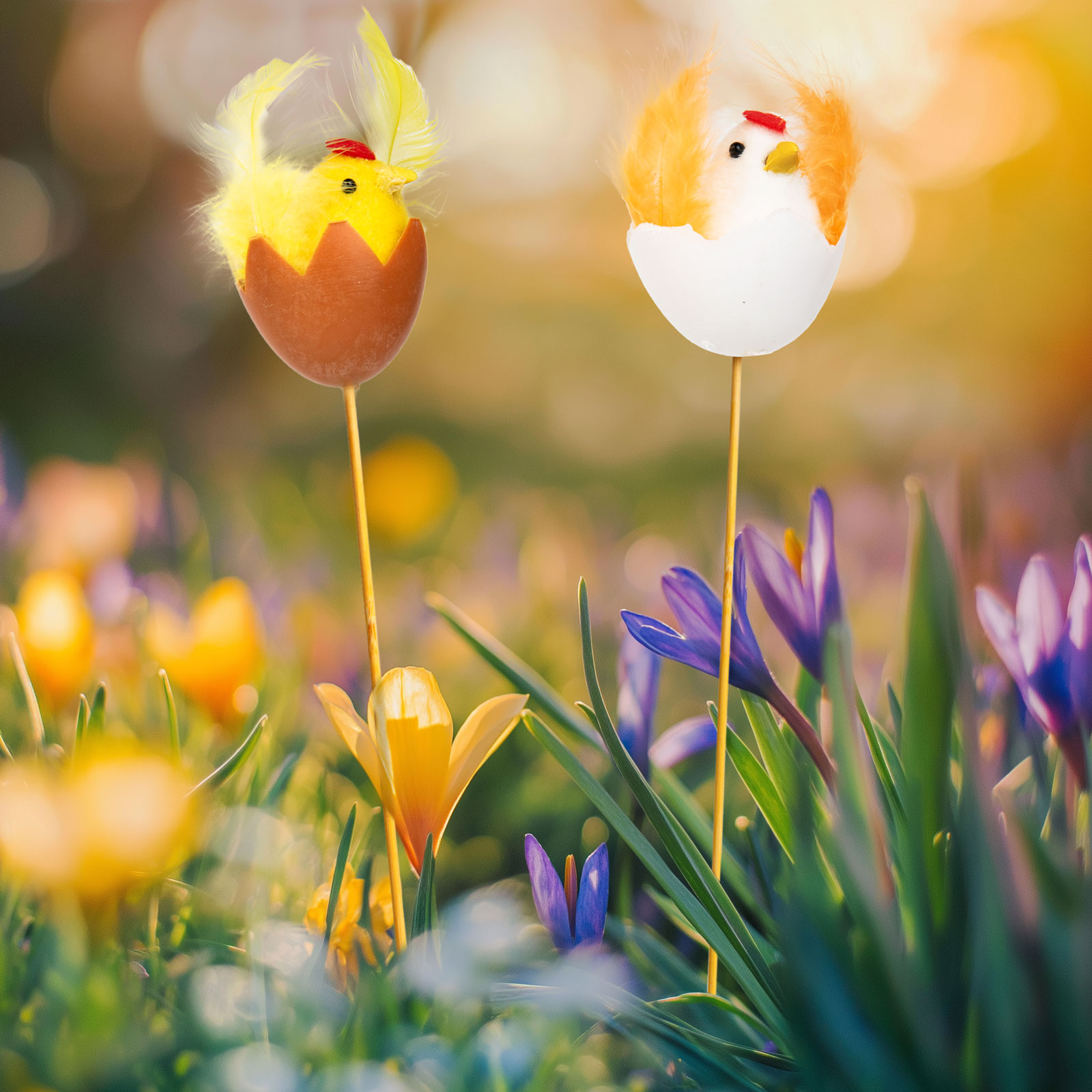 Cadouri romantice si Ziua Indragostitilor - Decor Paste pui si gaina pe bat, decoratiune Paste pentru ghiveci si gradina, figurina 28 cm