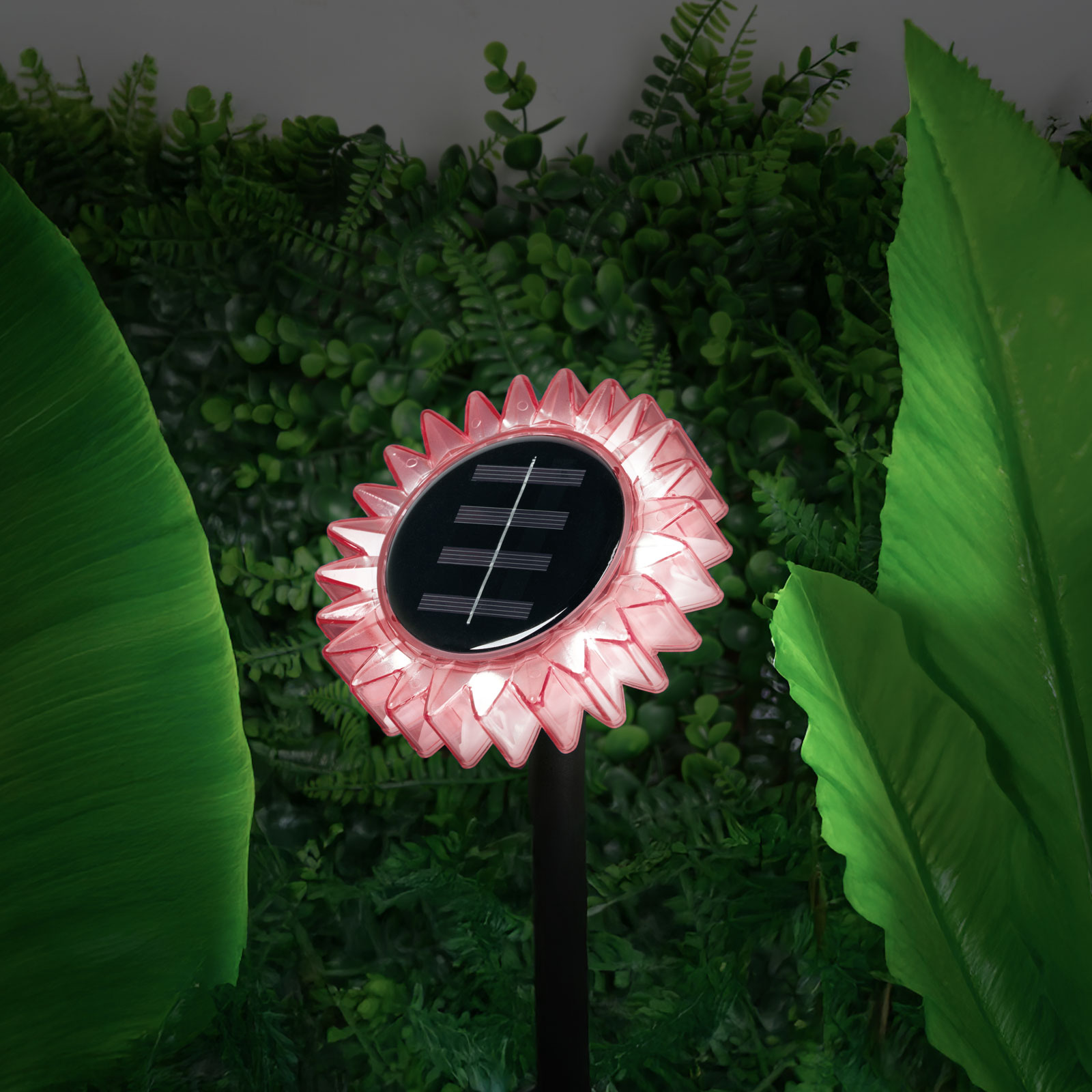 Lampă Solară de Grădină Floarea-Soarelui, LED Alb Cald, 35 cm, Roz [1]