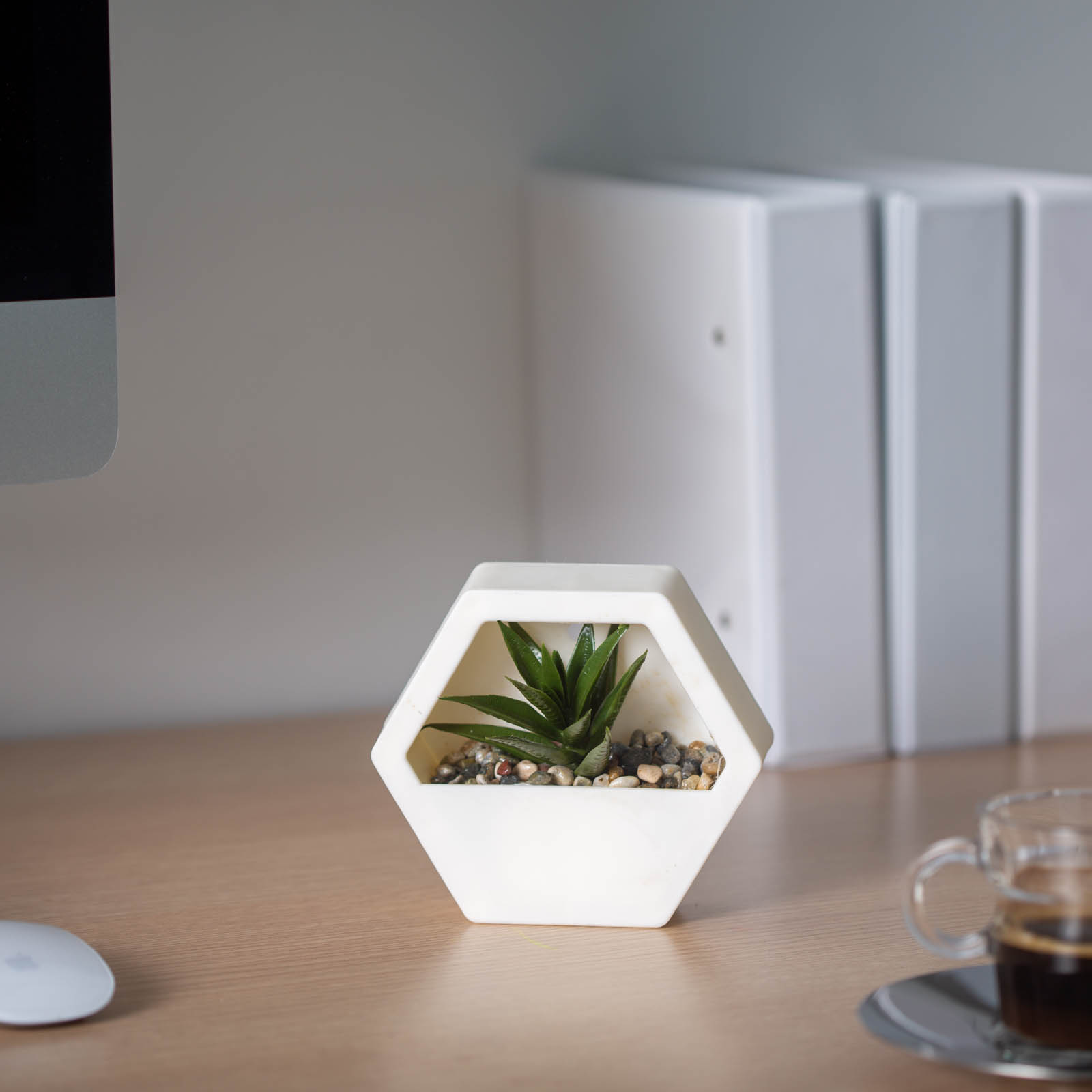 Planta artificiala decorativa perete 13 cm, cu agatatoare, 4 modele, decor casa birou realist [1]