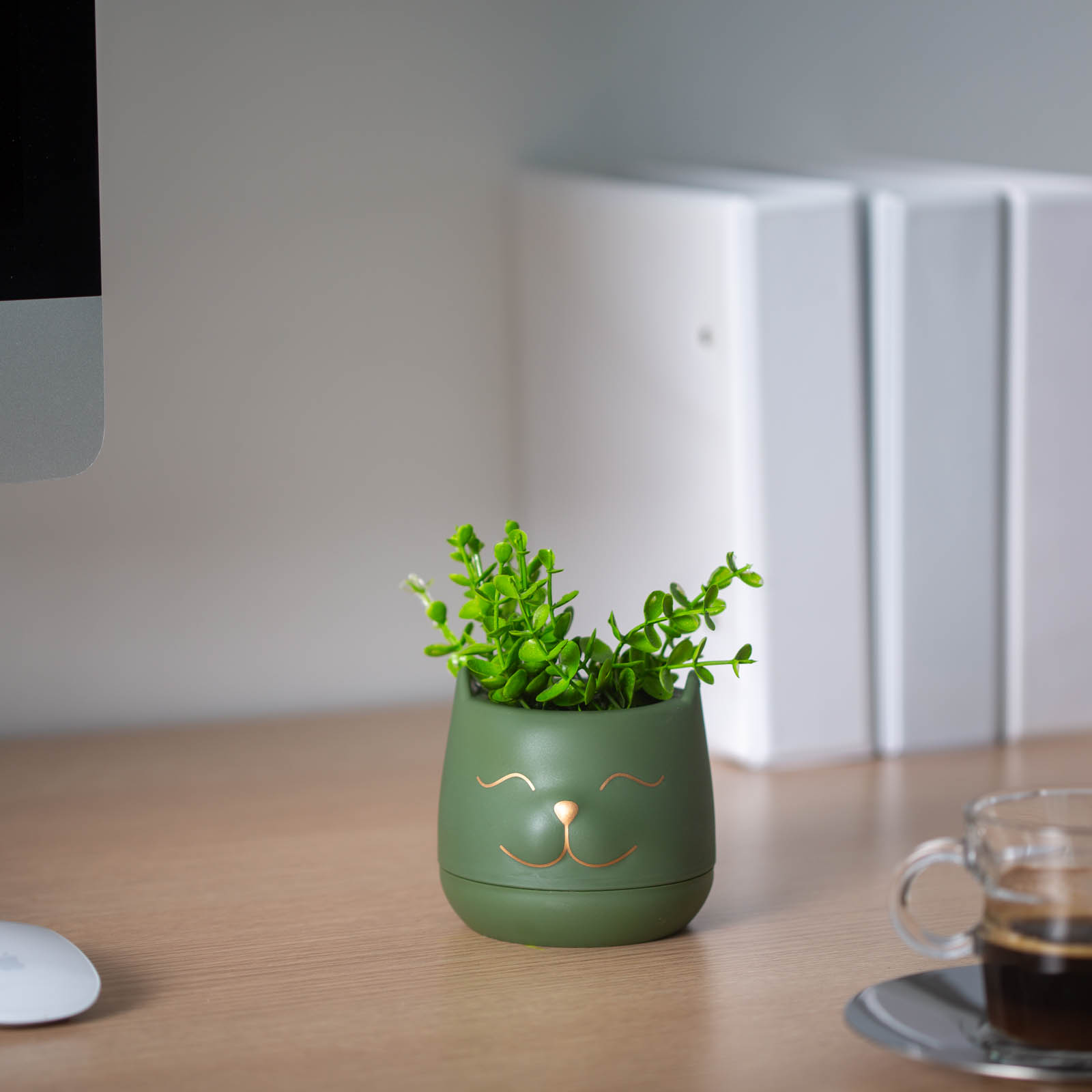 Planta artificiala decorativa in ghiveci cap pisica 14 cm, 3 modele, decor casa birou [1]