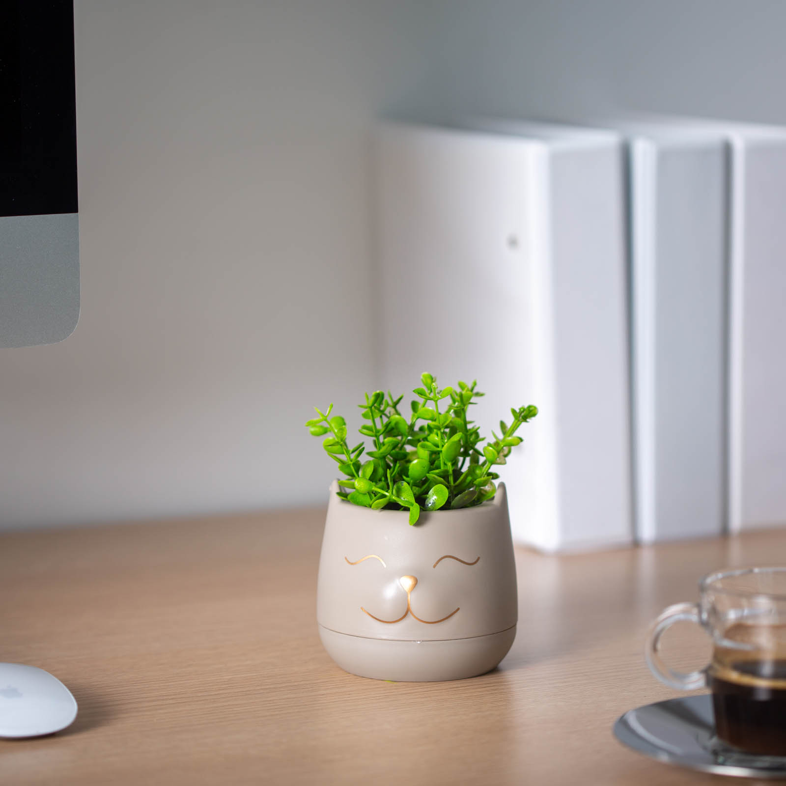 Planta artificiala decorativa in ghiveci cap pisica 14 cm, 3 modele, decor casa birou [2]