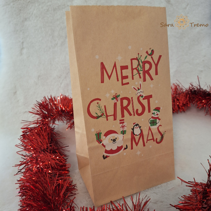 Set 4 pungi de hartie de Craciun - ideale pentru Secret Santa [1]