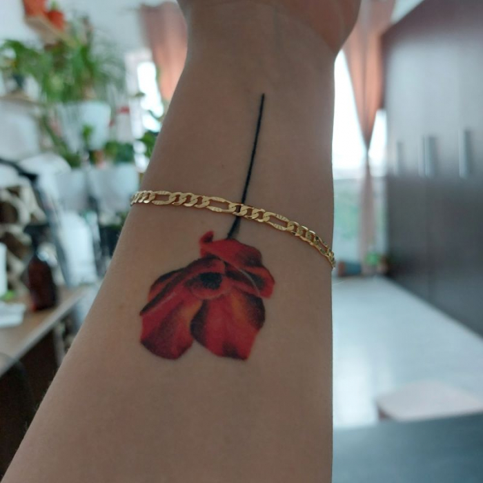 Bratara placata cu aur model 3 cu 1 cu gravuri fine Apollo - 20 cm [5]