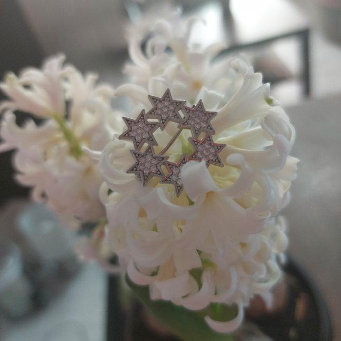 Brosa luxury din argint Progress [5]