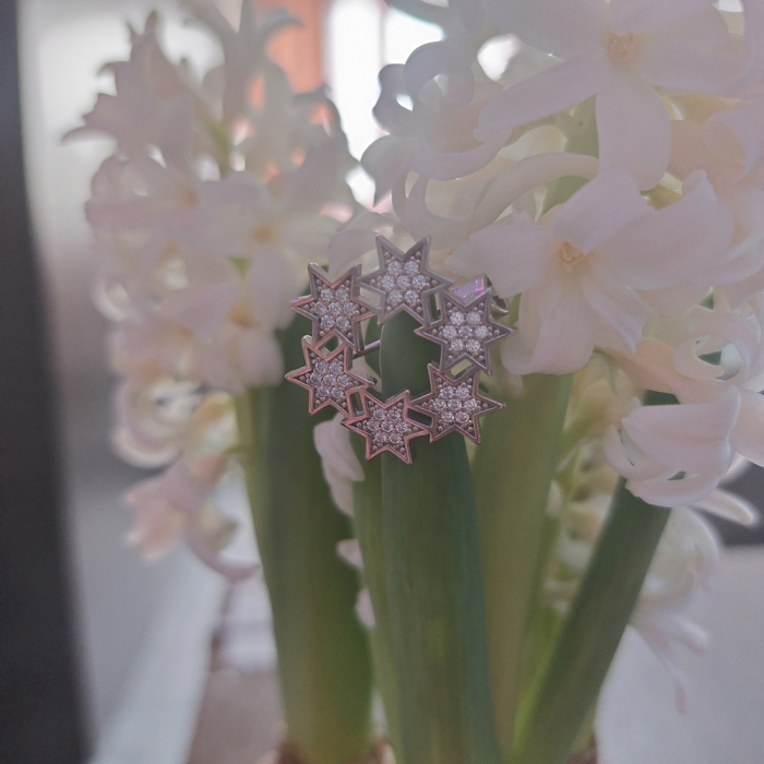 Brosa luxury din argint Progress [6]