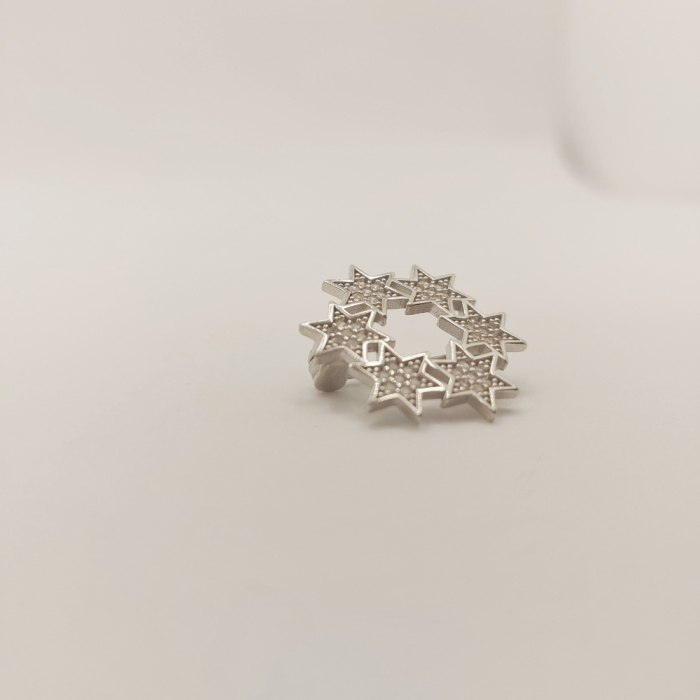 Brosa luxury din argint Progress [3]