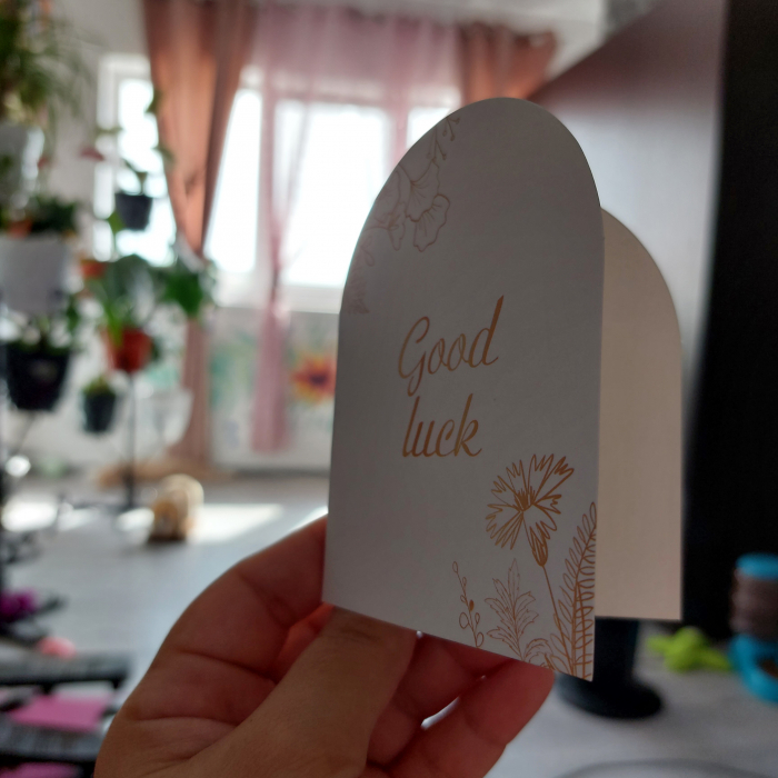 Felicitare Good Luck: Urări de noroc și succes în drumul tău [3]