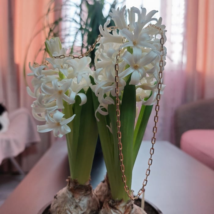 Lant barbatesc placat cu aur Chained Together - model simplu si elegant, lungime 50 cm [6]