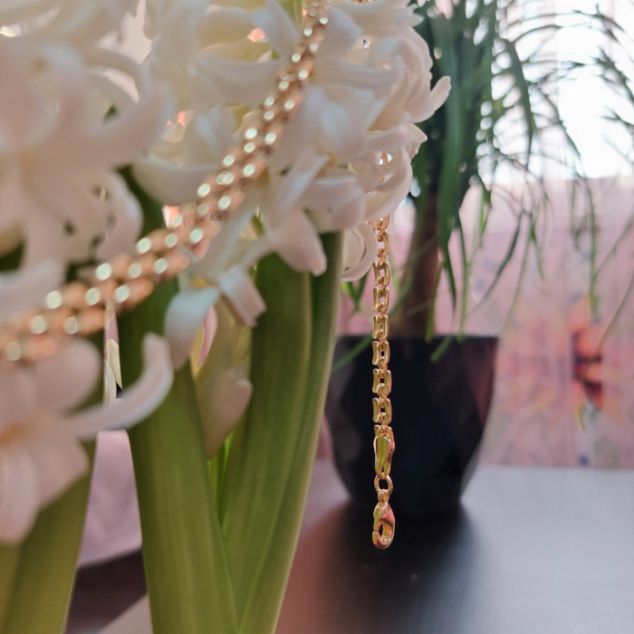 Lant placat cu aur Fancy Chain pentru barbati [6]