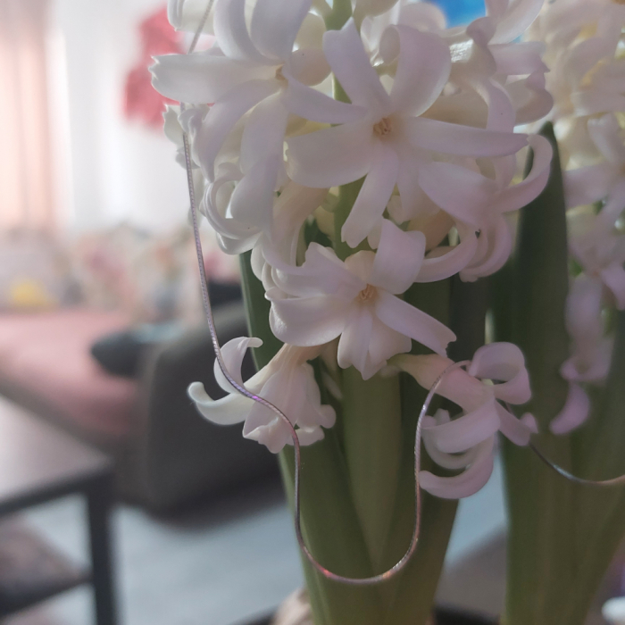 Lantisor argint SaraTremo [7]