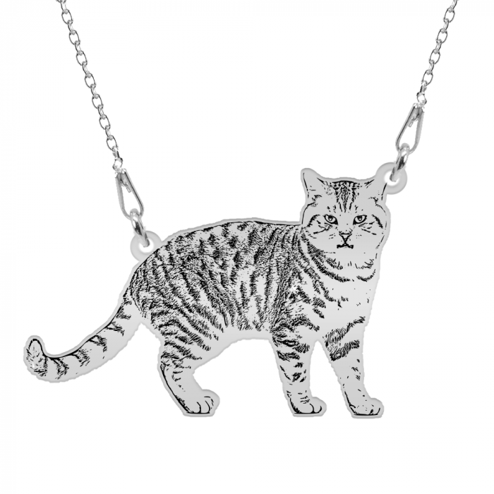 Colier personalizat cu fotografie silueta animal de companie din argint 925 [2]