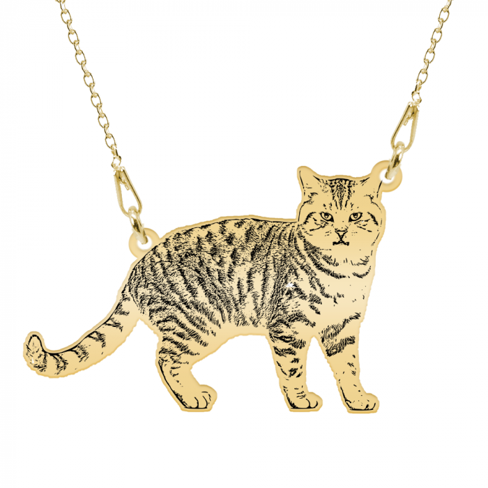 Colier personalizat cu fotografie silueta animal de companie din argint 925 placat cu aur galben 24K [2]