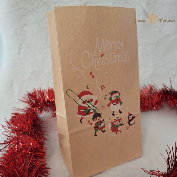 Set 3 pungi de hartie de Craciun - ideale pentru Secret Santa [1]
