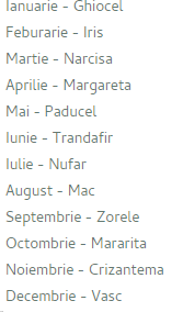 Colier personalizat cu floarea specifica lunii de nastere [12]