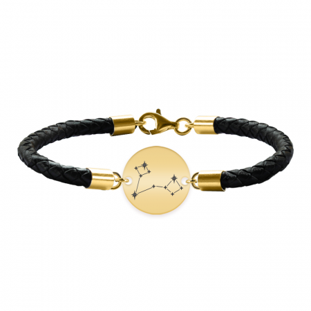 Bratari personalizate - Bratara din piele naturala impletita cu banut din argint 925 placat cu aur 24 K - constelatia Pesti