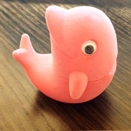 Cutie catifelata pentru inel sau cercei [0]