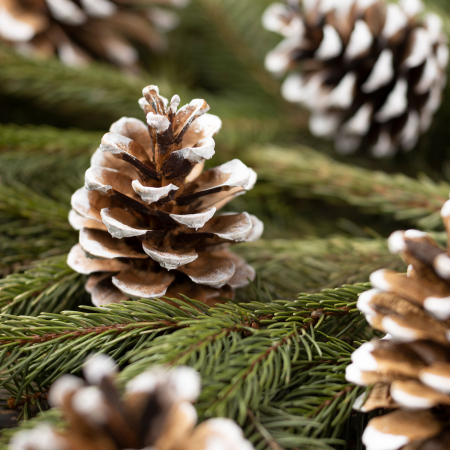 Casa si Gradina - Decor de Craciun - con - 5 x 4,5 cm - 10 buc/pachet