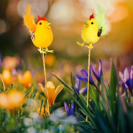 Cadouri romantice si Ziua Indragostitilor - Decor Paste cocos pe bat, decoratiune Paste pentru ghiveci si gradina, figurina cocos 24 cm