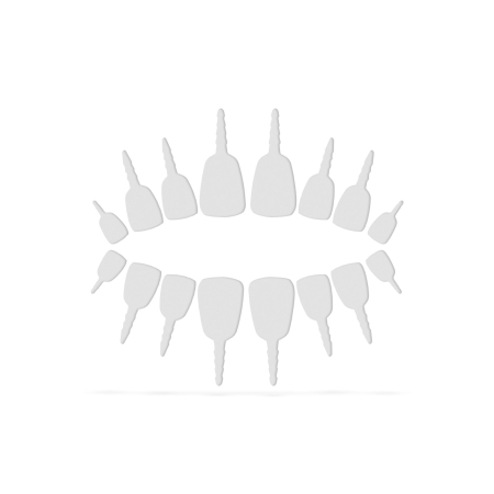 Dinţi pentru dovleac de Halloween - 18 dinţi / pachet [2]