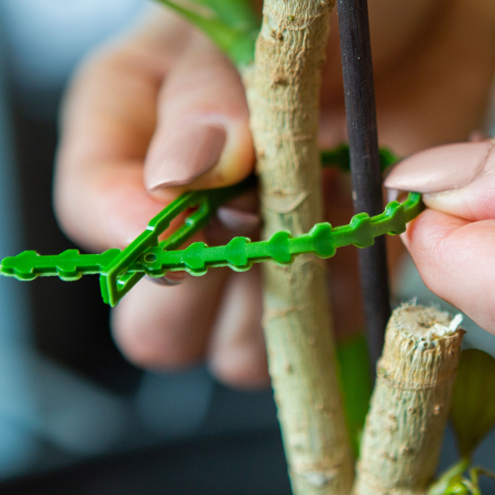 Organizare si Depozitare - Legaturi plante gradina, 165 mm, set 40 buc, fixare tulpini, plastic v