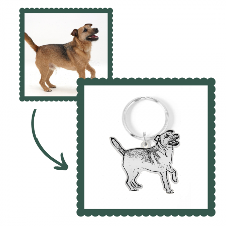 Brelocuri personalizate - Breloc dupa fotografie silueta animal de companie din argint si inel de inox
