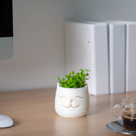 Pentru casa - Planta artificiala decorativa in ghiveci cap pisica 14 cm, 3 modele, decor casa birou