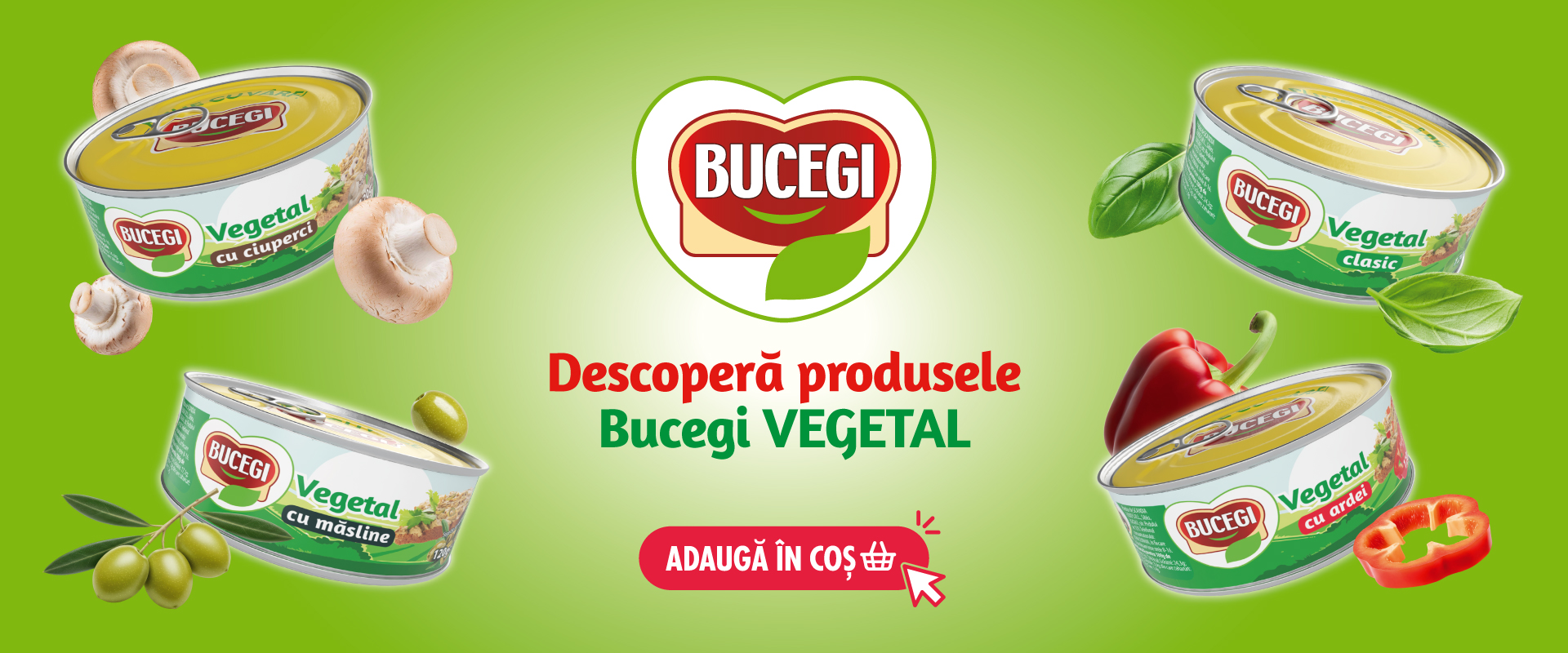 Bucegi Pate vegetal