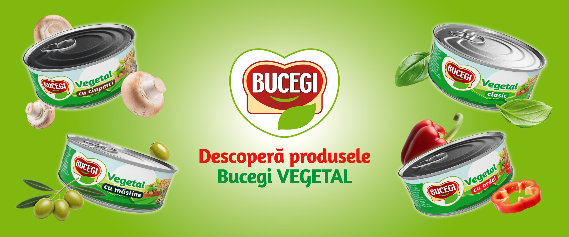 Bucegi Pate vegetal