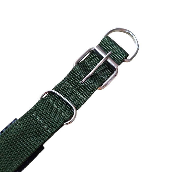 Curea, pentru caine mare, cu protectie, 3x60cm, verde [3]