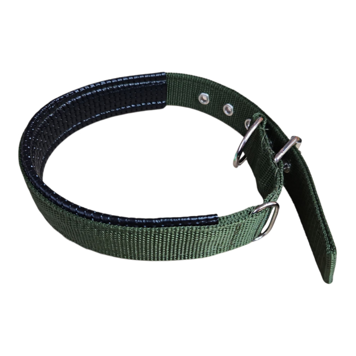 Curea, pentru caine mare, cu protectie, 3x60cm, verde [2]