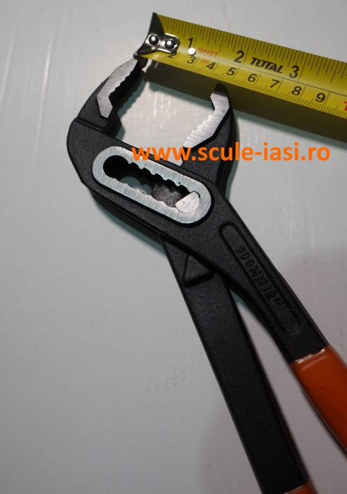 Cleste papagal [2]