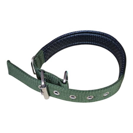 Casa si gradina - Curea, pentru caine mare, cu protectie, 3x60cm, verde