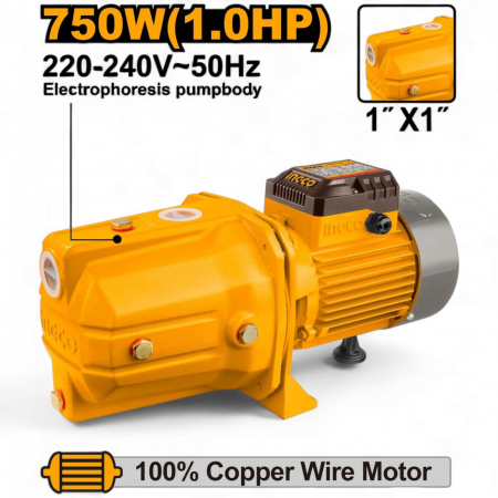 Pompe si motopompe - Pompa pentru apa de suprafata jet 750 W ( hidrofor)