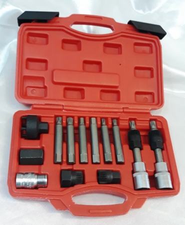 Set, fulie alternator [1]