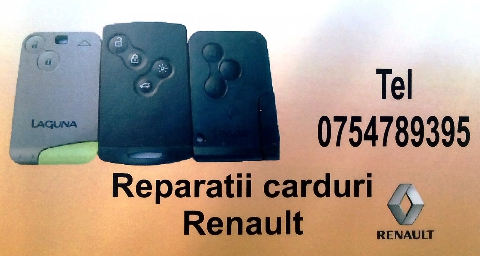Frosty Corresponding Parasite Reparatii cartele Renault
