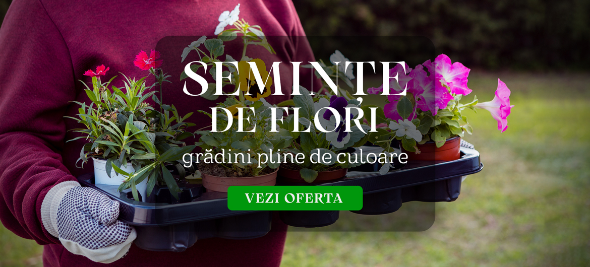 Semințe de flori