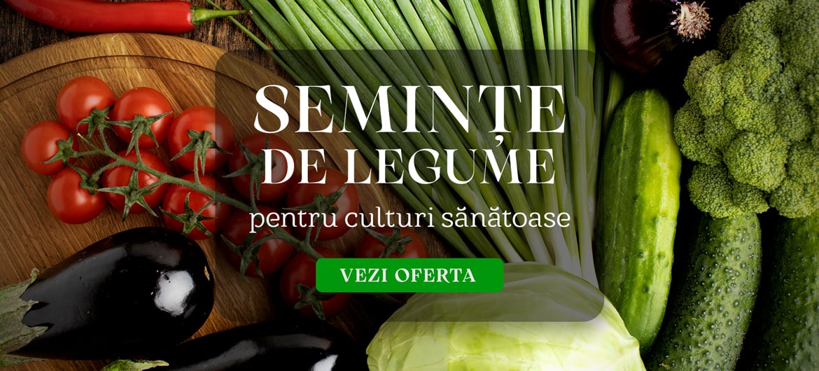 Semințe de legume